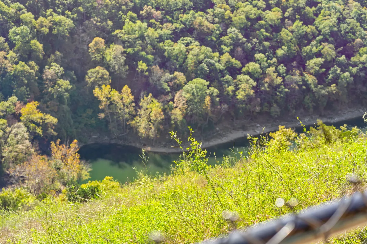 This image captures lush greenery, a meandering river, and distant forested hills under an expansive sky. The natural landscape is serene and inviting, suggesting opportunities for hiking, birdwatching, and peaceful contemplation.